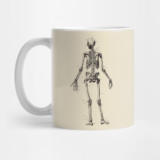 skeleton anatomy Mug